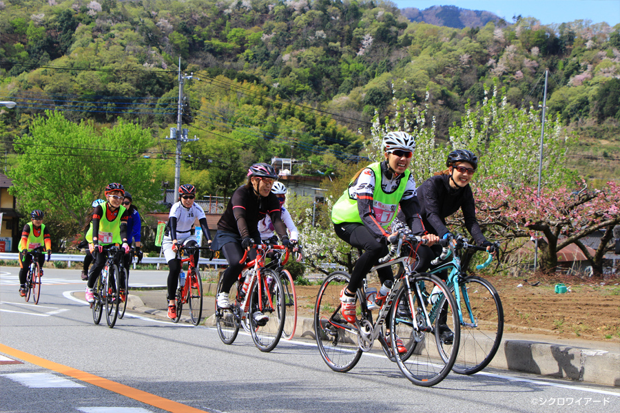 桃と桜のサイクリング2018