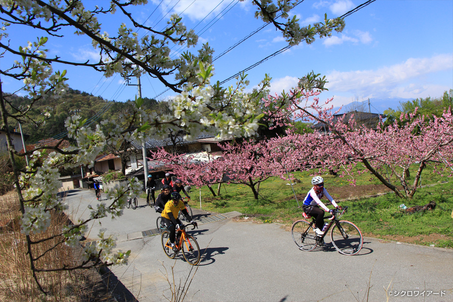 桃と桜のサイクリング2018