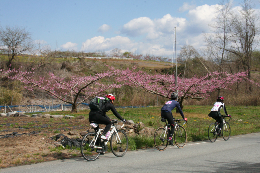 桃と桜のサイクリング2018