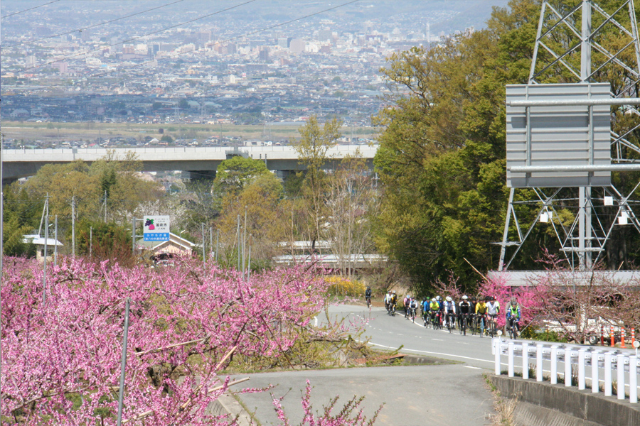 桃と桜のサイクリング2018