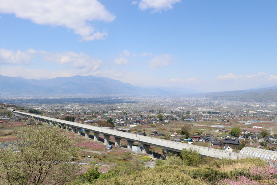 桃と桜のサイクリング2018