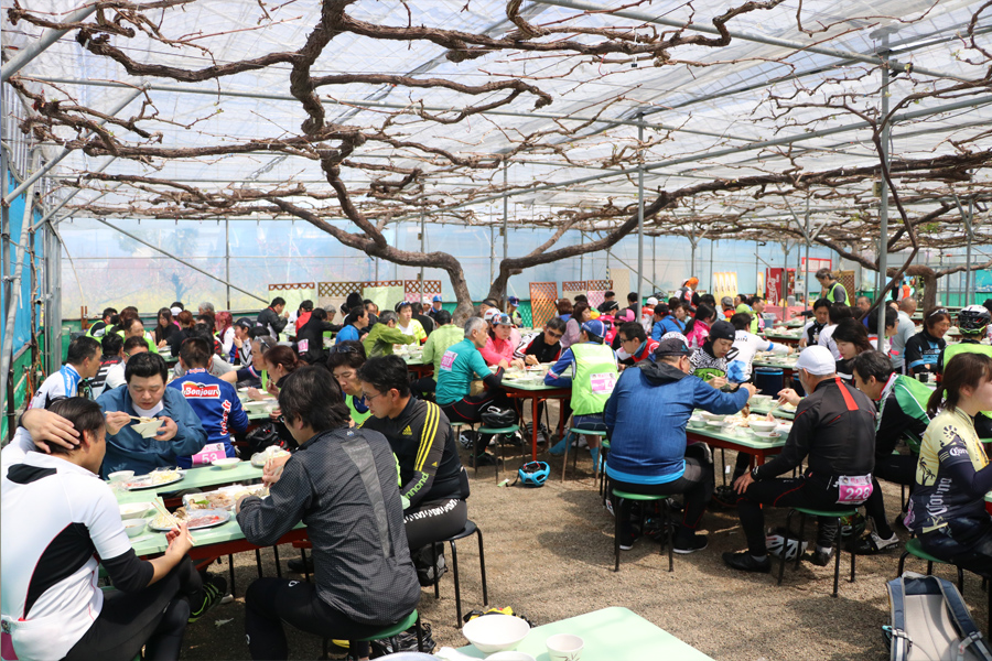 桃と桜のサイクリング2018