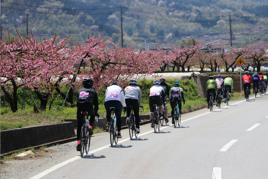 桃と桜のサイクリング2018