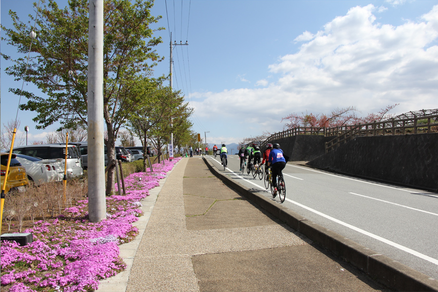 桃と桜のサイクリング2018