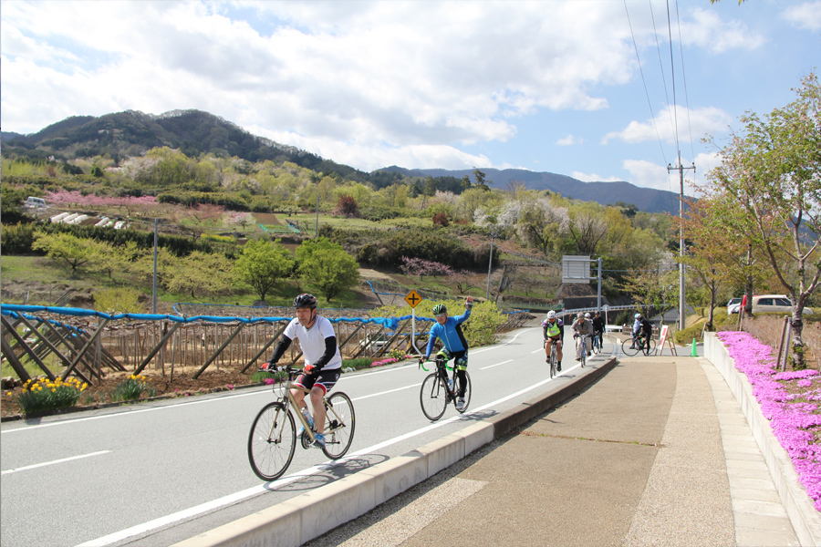 桃と桜のサイクリング2018