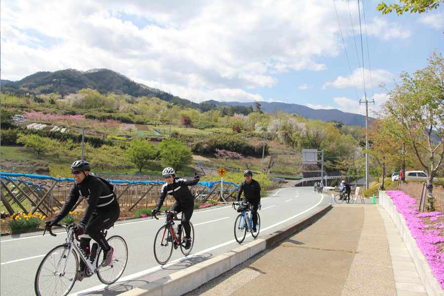 桃と桜のサイクリング2018